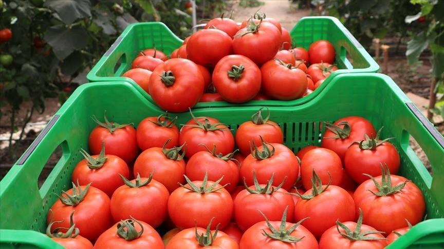 Turkeys annual inflation rate at 14.03% in November