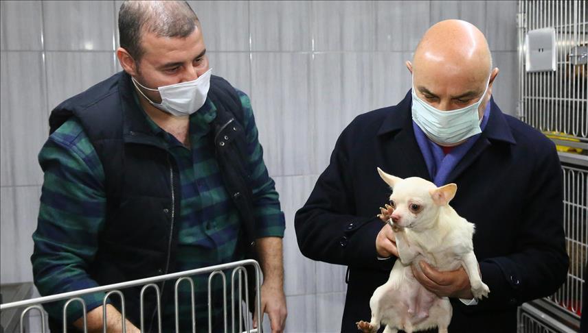 Over 3,000 people applied for adoption of animals kept in poor conditions