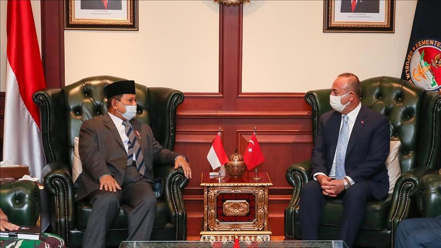 Turkey-Indonesia have huge trade potential: FM Çavuşoğlu