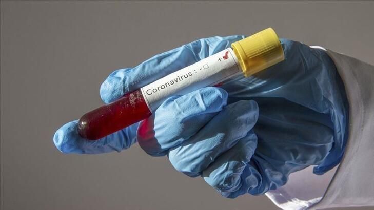 Turkey confirms first cases of UK coronavirus strain