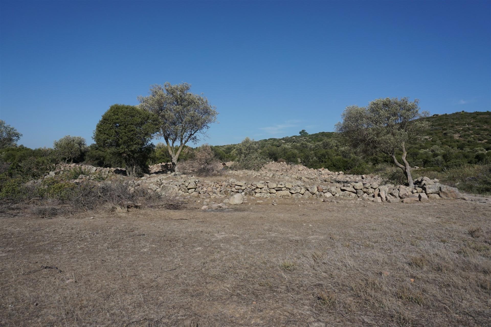 Ruins of Aphrodite Temple found in Urla
