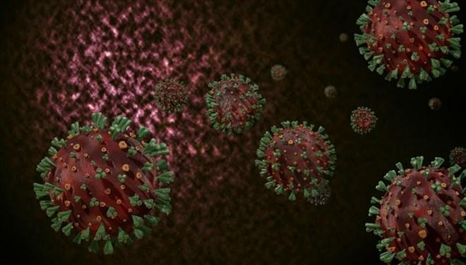 Turkey tightens measures amid cases of virus variant