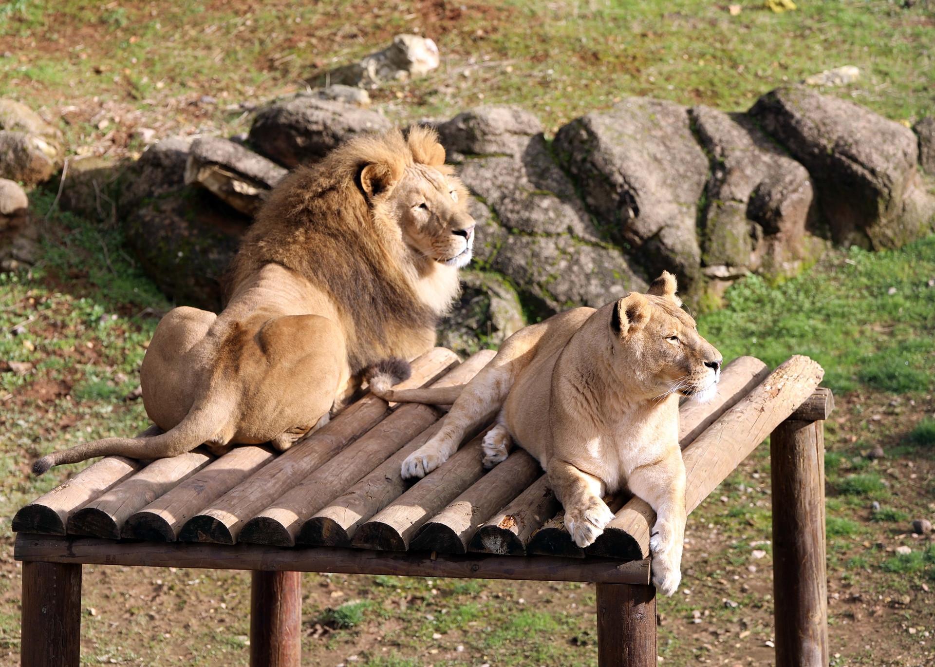 Gaziantep Zoo aiming to draw 5 million visitors