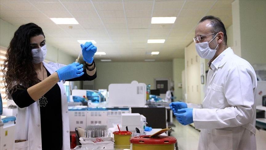 Turkish scientists find efficient cure for IGM disease