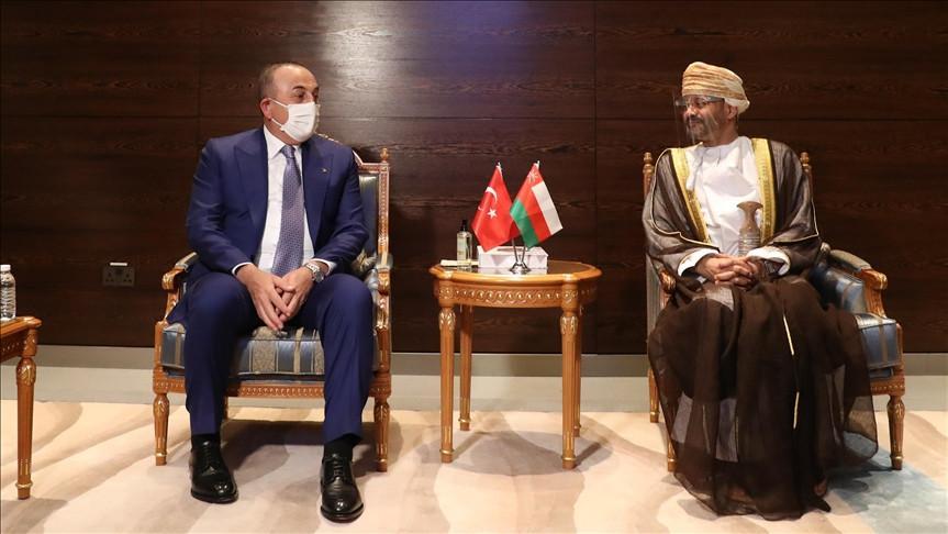 Turkey supports unity, prosperity, security of Gulf: FM