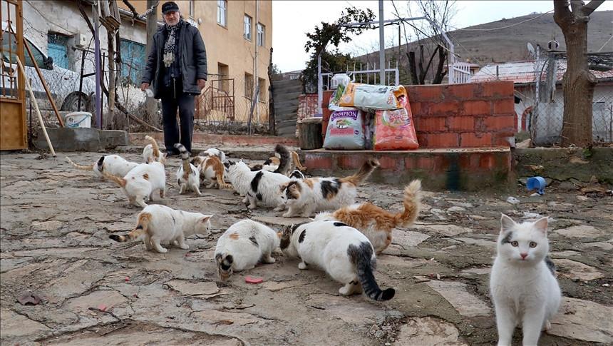 Turkish retiree devoted to stray animals after dog dies