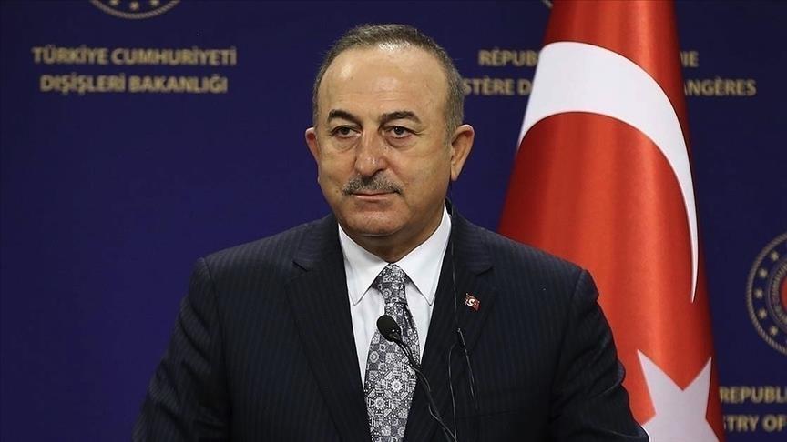 Turkey continues to increase its presence in Africa: FM