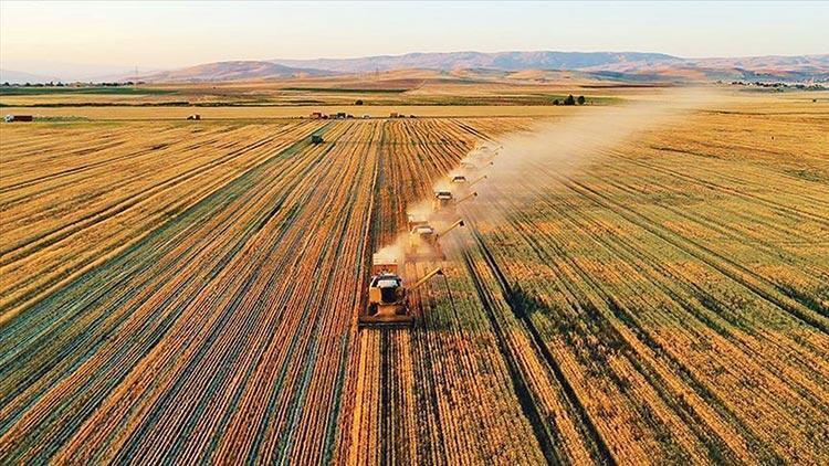Turkish, Kiwi experts discuss smart agriculture