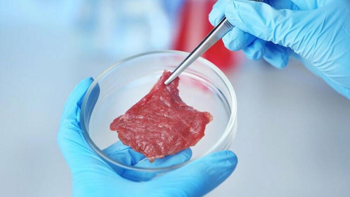 Turkish university working on solutions to reduce price of artificial meat