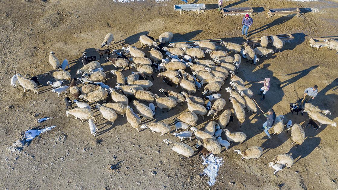 Nomads preserve their ancestral way of life