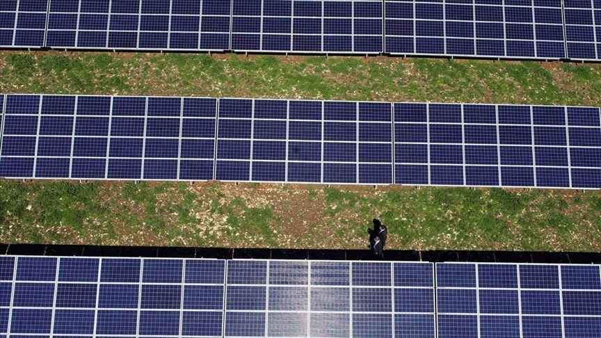 Turkey should follow EUs path towards green economy: Ambassador