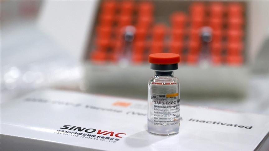 China’s Sinovac vaccine efficacy 83.5 percent: Turkish researchers