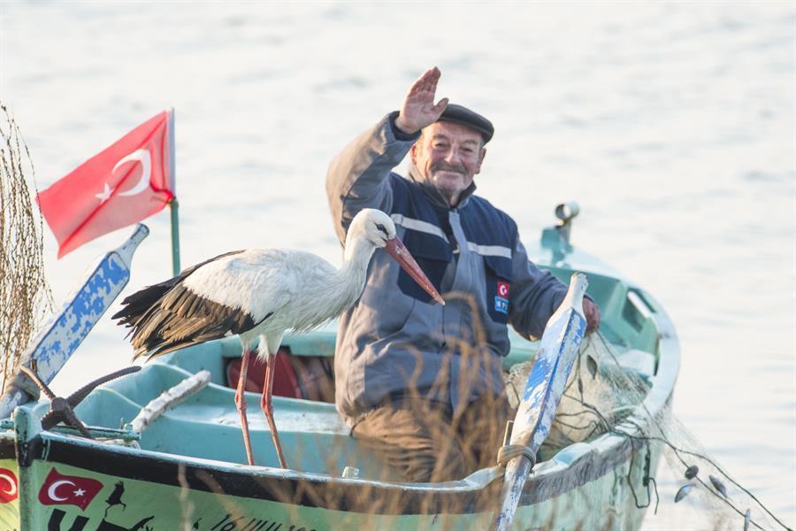 Friendship between way-worn stork and fisherman celebrates its 10th anniversary