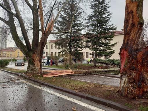 Lightning strikes at Turkish parliaments garden