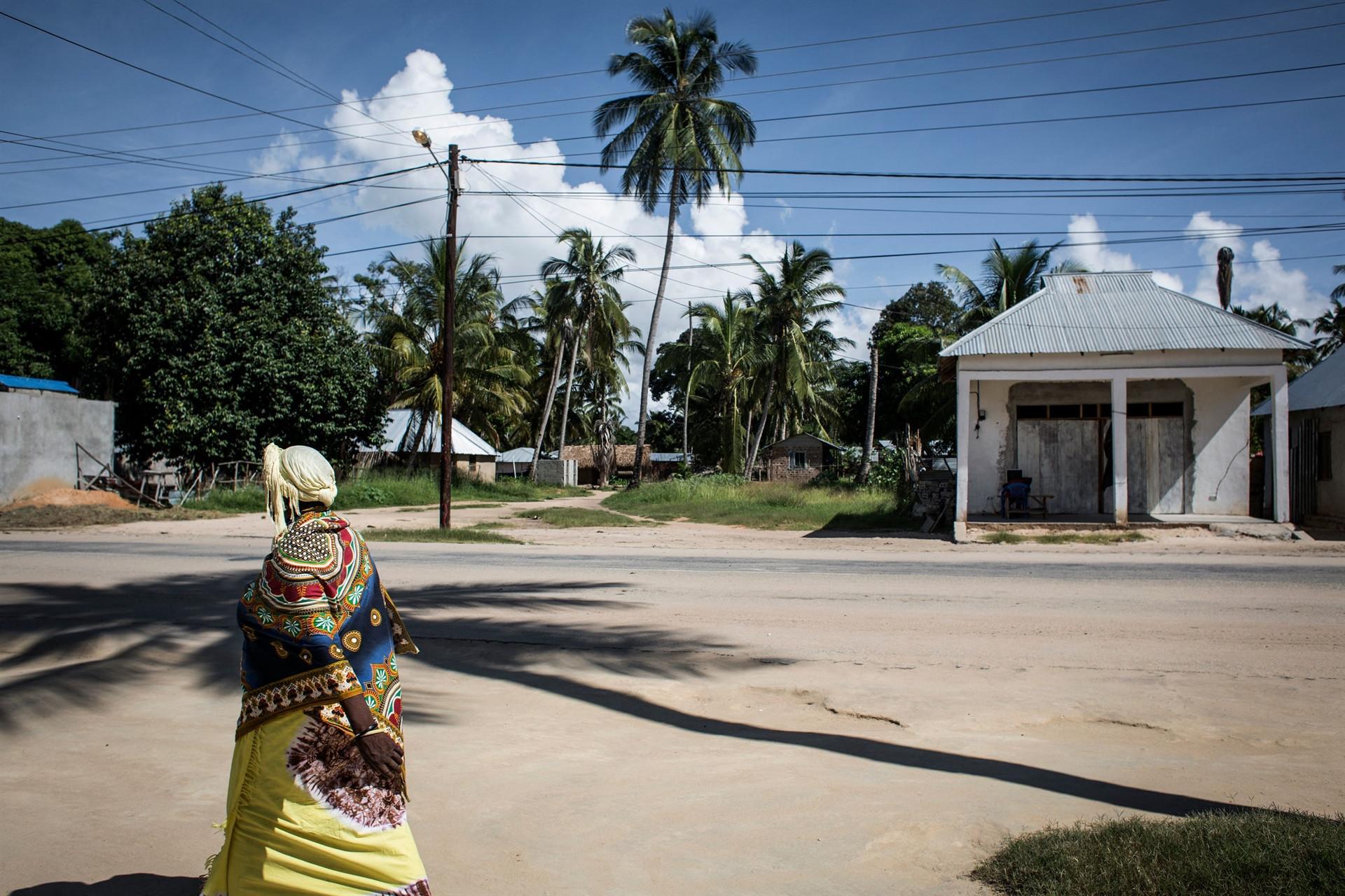 Dozens killed in besieged Mozambique gas town