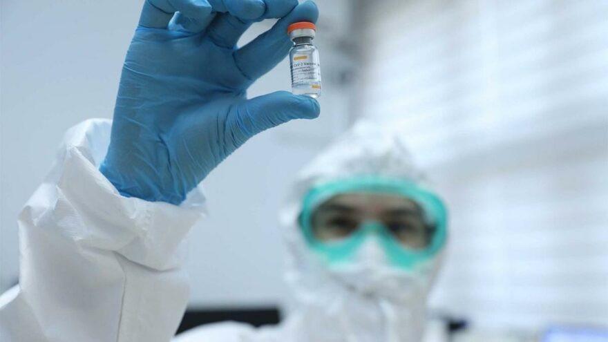 Turkey plans to roll out local vaccine by end summer, says health minister