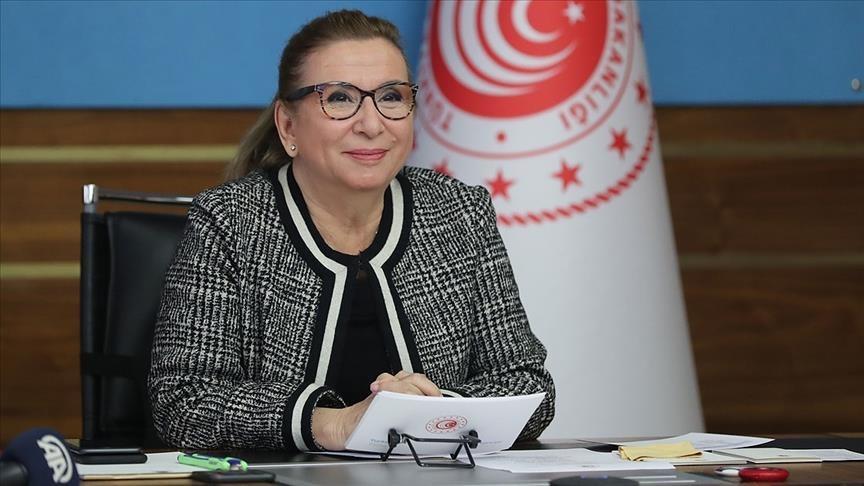 D-8 preferential trade deal key to boost ties: Turkey