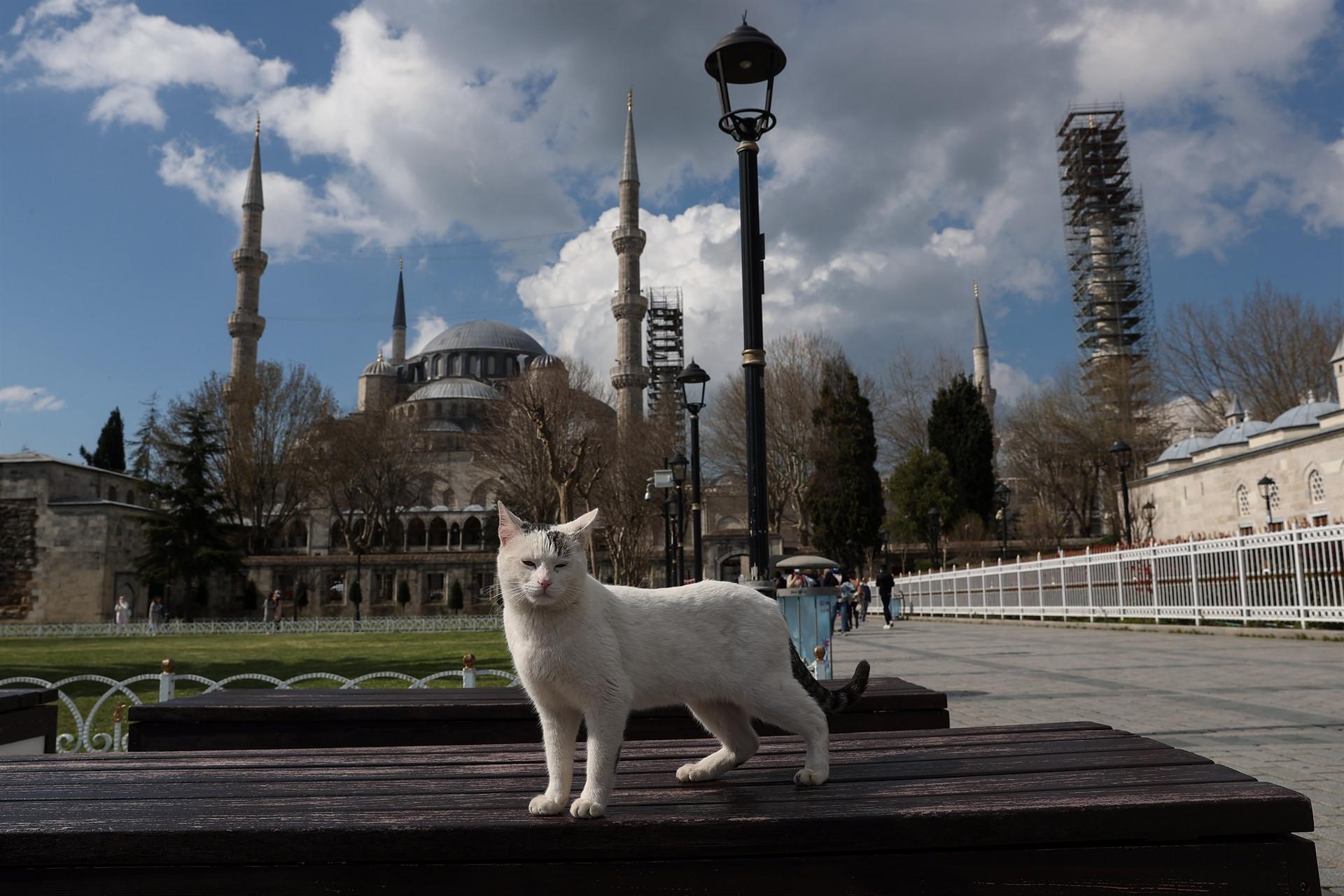 Government weighing stricter measures during Ramadan
