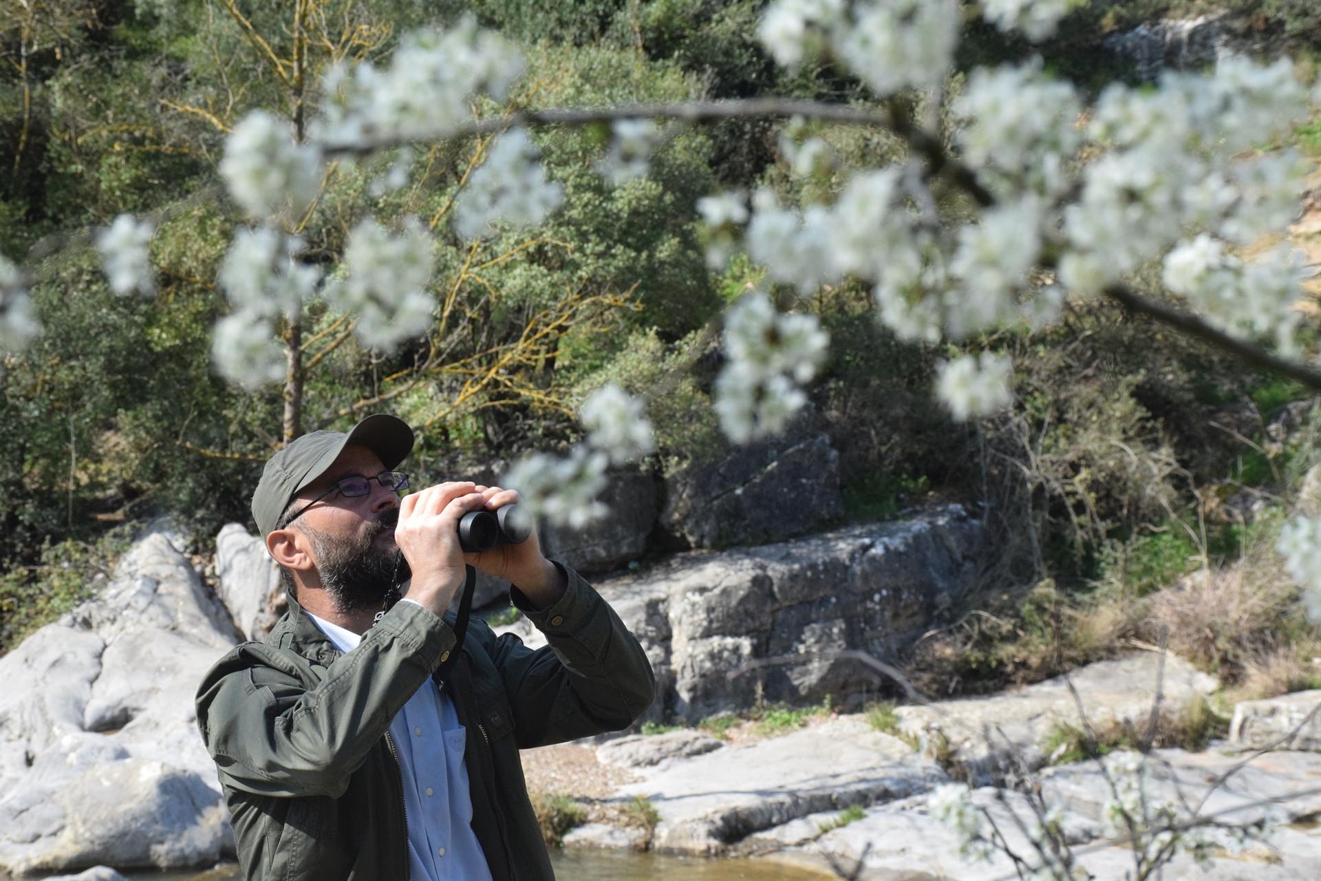 Avid birdwatcher identified 120 bird species in decade