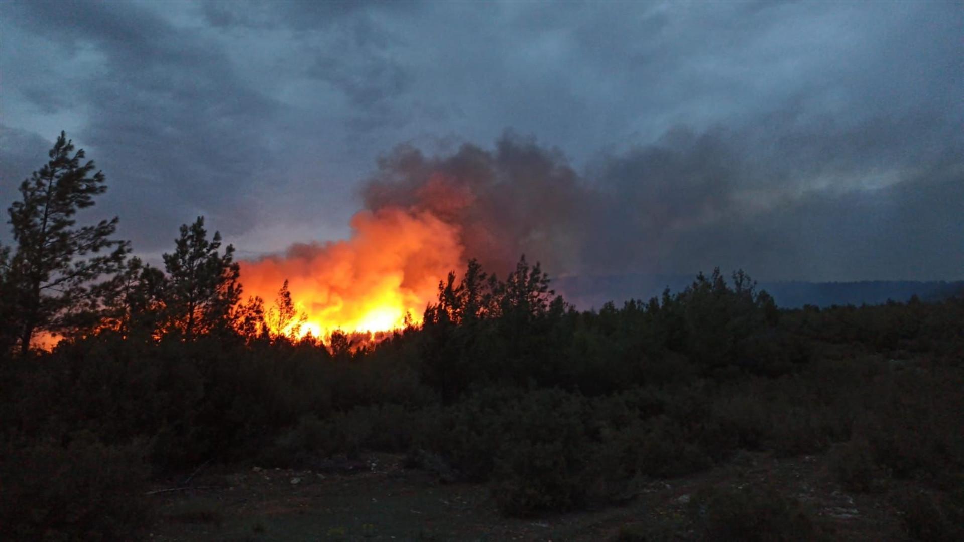 Forest fire erupts in western, southwestern Turkey