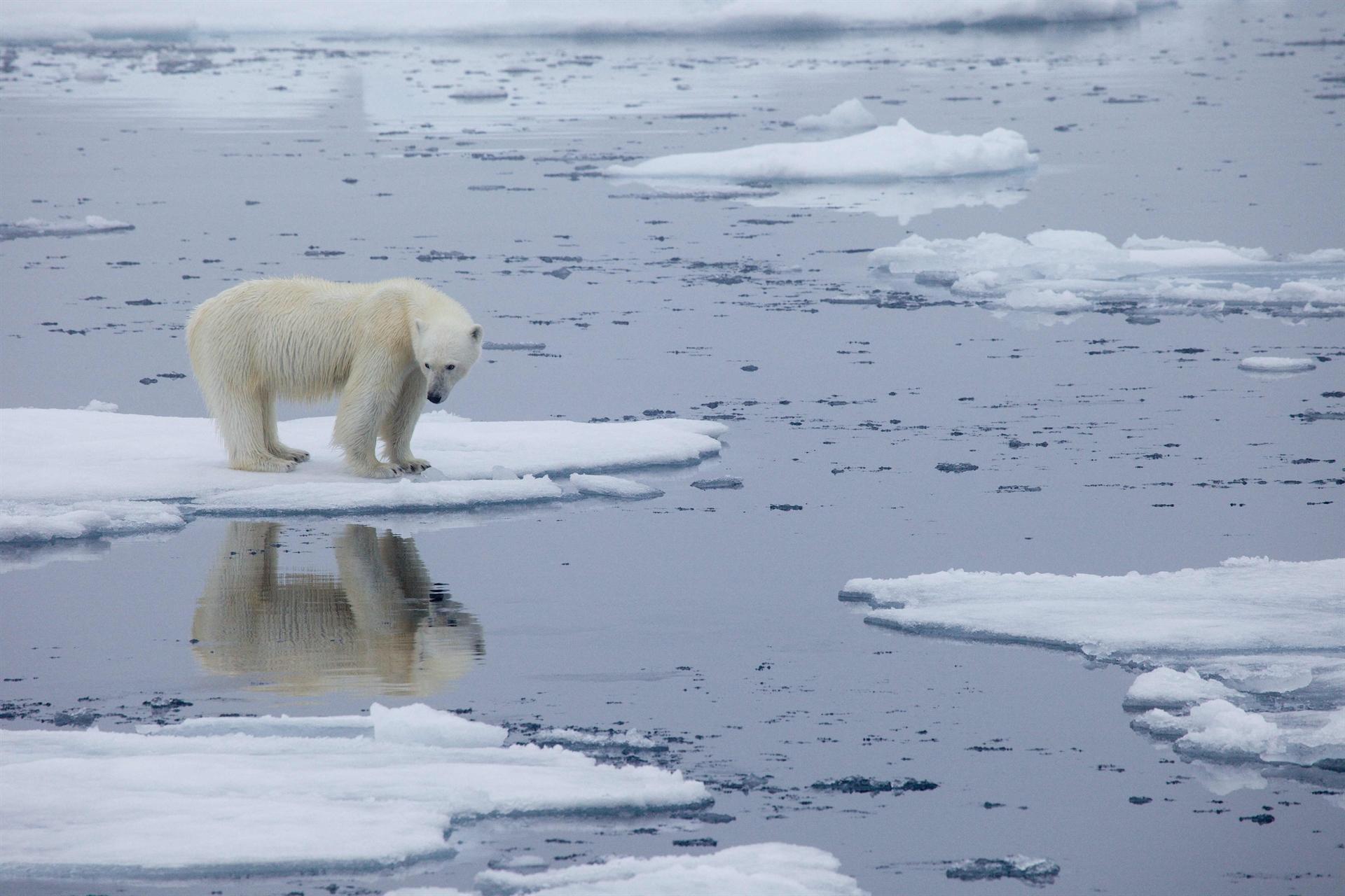 US, China agree to cooperate on climate crisis