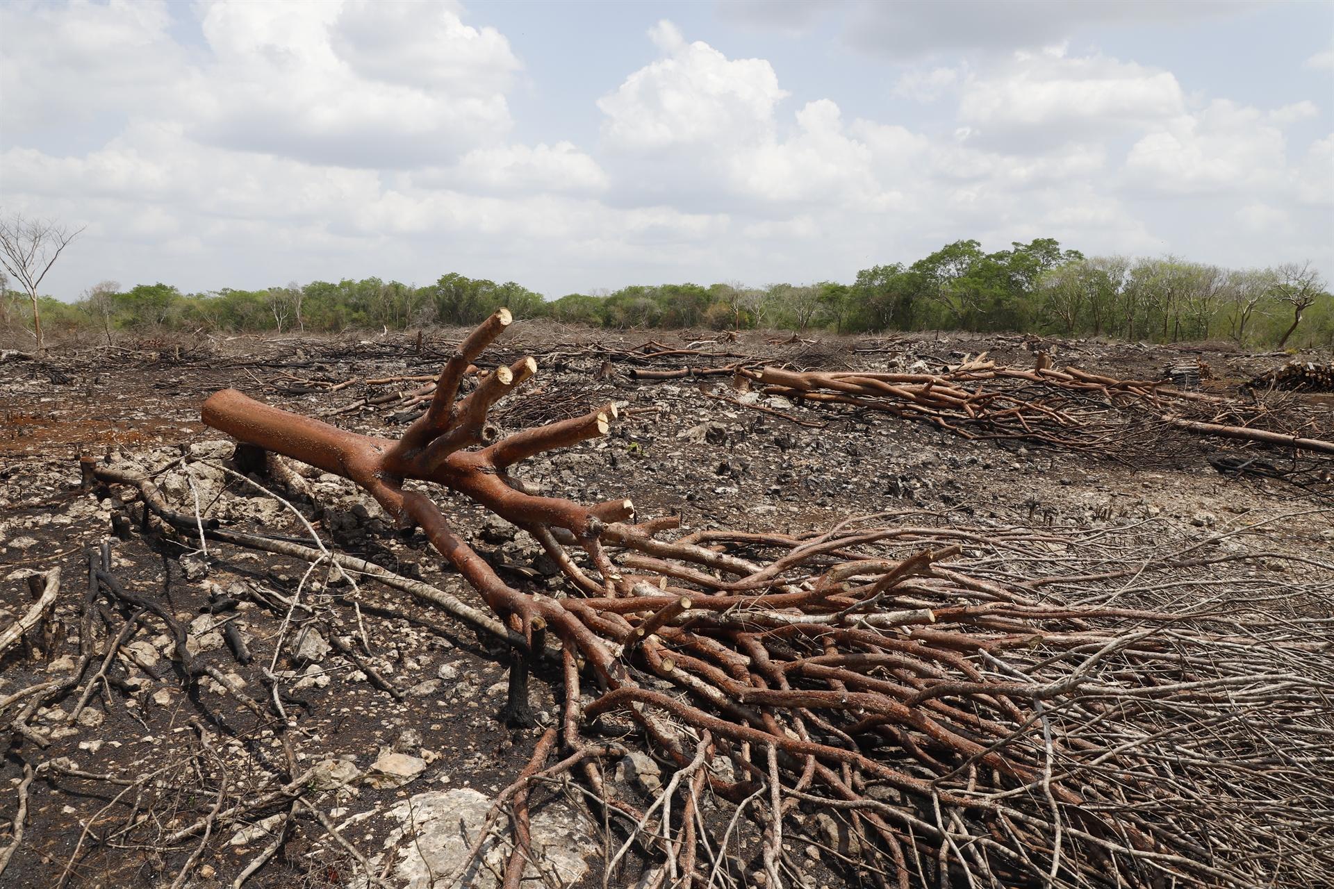 World leaders pledge climate cooperation despite other rifts