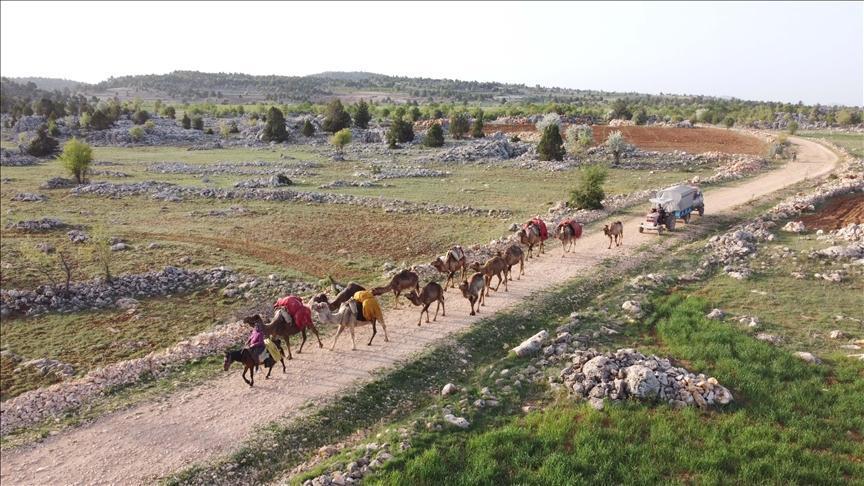 Nomadic Turks preserve lifestyle defying technology