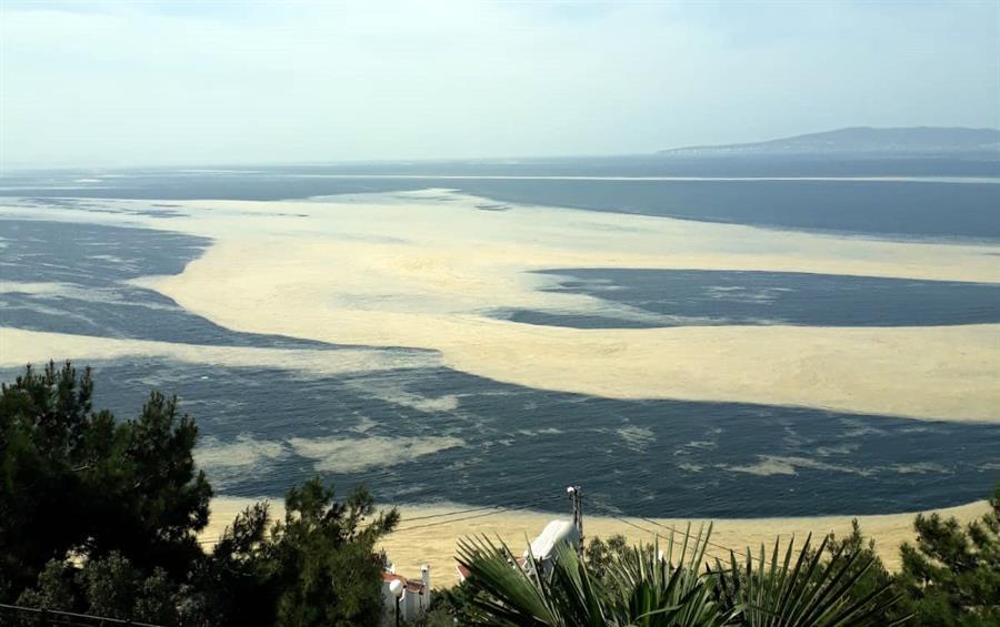 Sea saliva covering surface of Marmara Sea worries experts