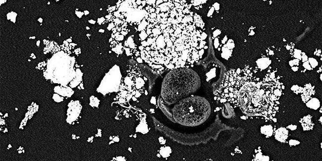 Asbestos found on car wandering across Istanbul