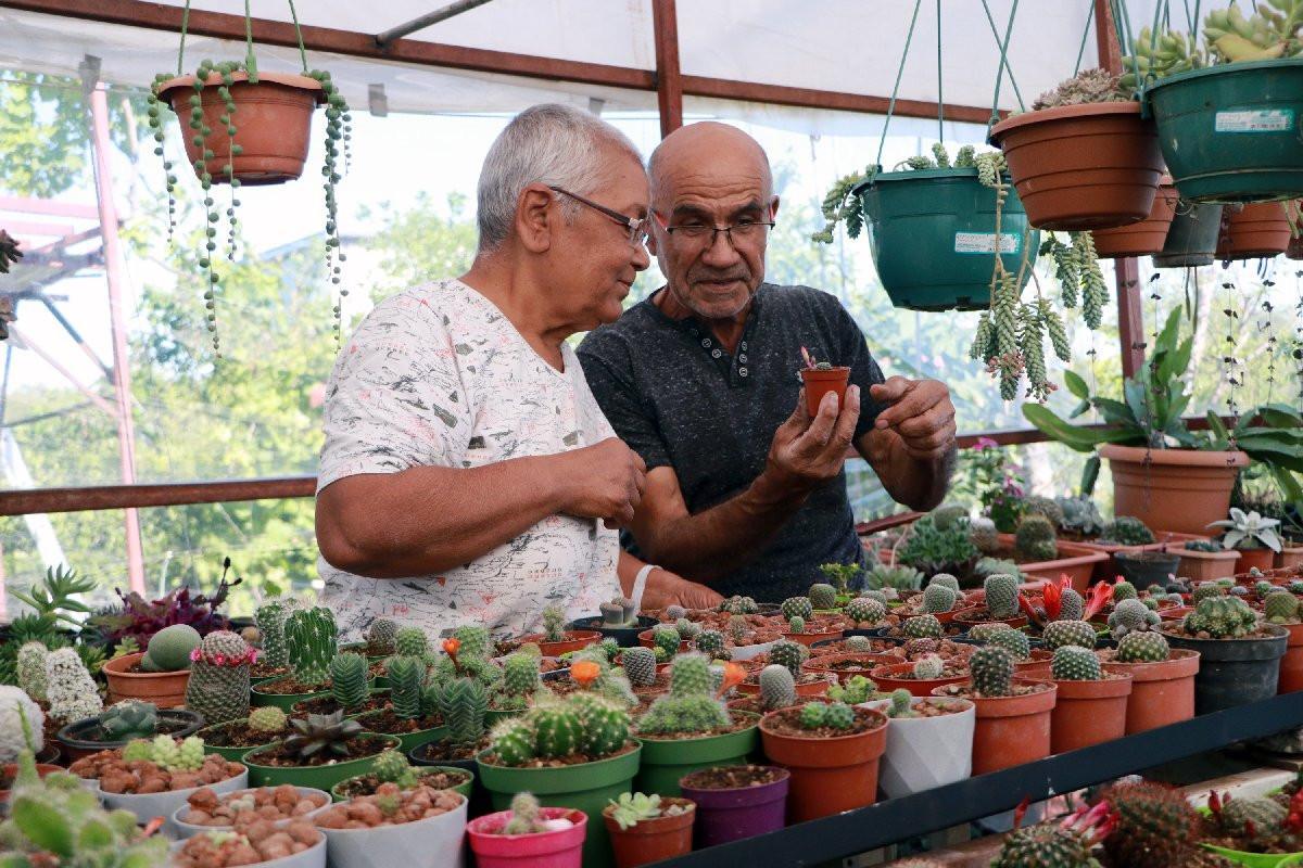 Local man builds 1,200 cacti garden for wife with cancer
