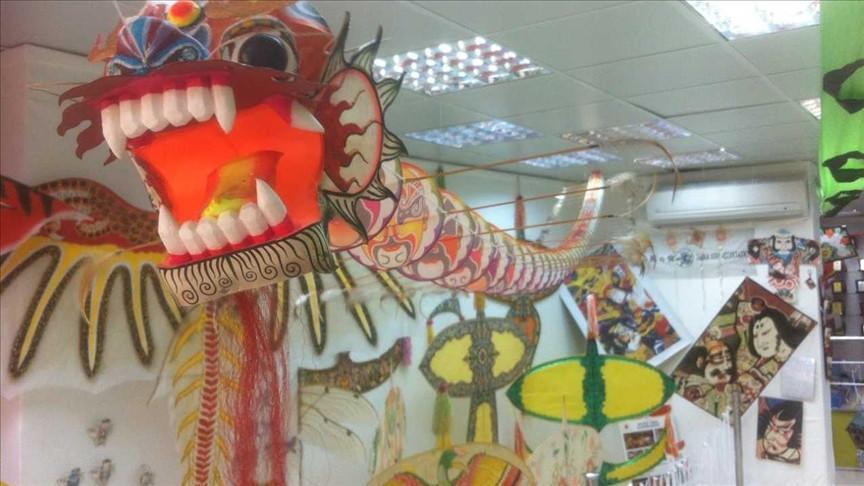 Turkey’s only Kite Museum regales visitors