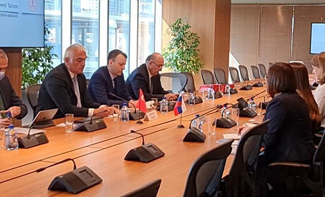 Turkish delegation visits Russia to discuss vaccines, tourism