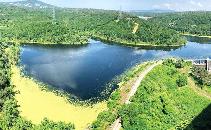 Istanbul dams record highest water level in a year: Data