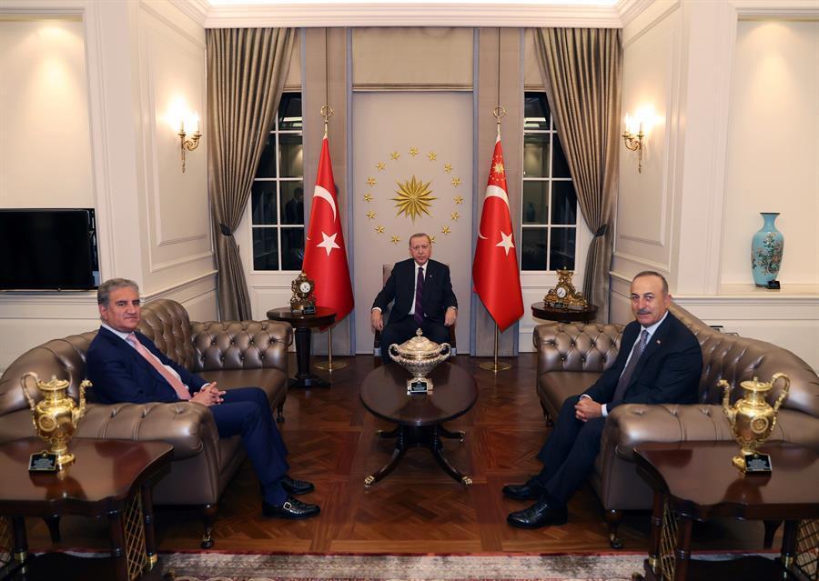 Turkish president, FM discuss Palestine with Pakistani counterpart