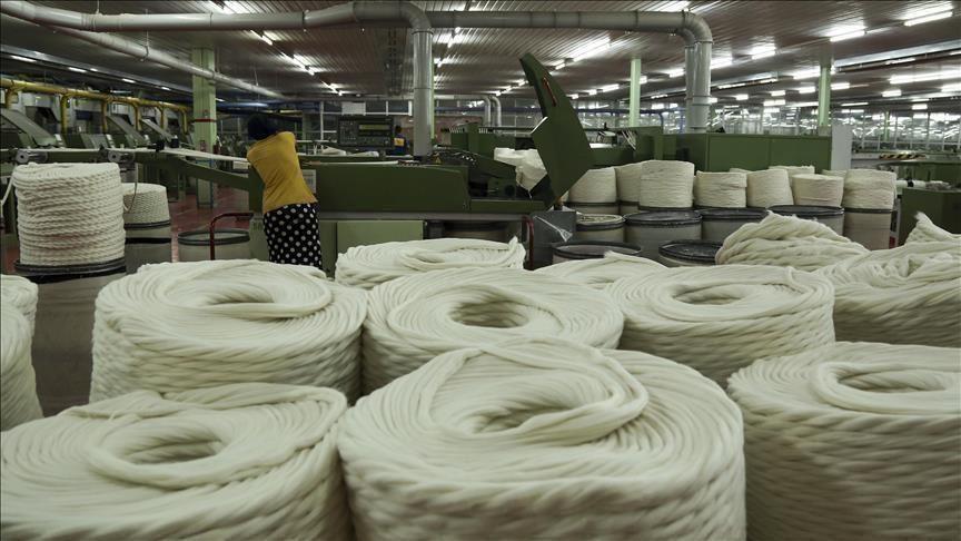 Turkeys manufacturing capacity usage down in May