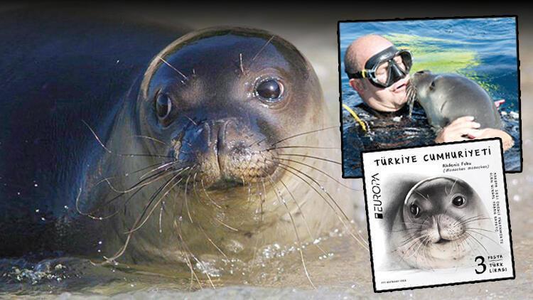 PTT enters in Europa stamp competition with monk seal stamp