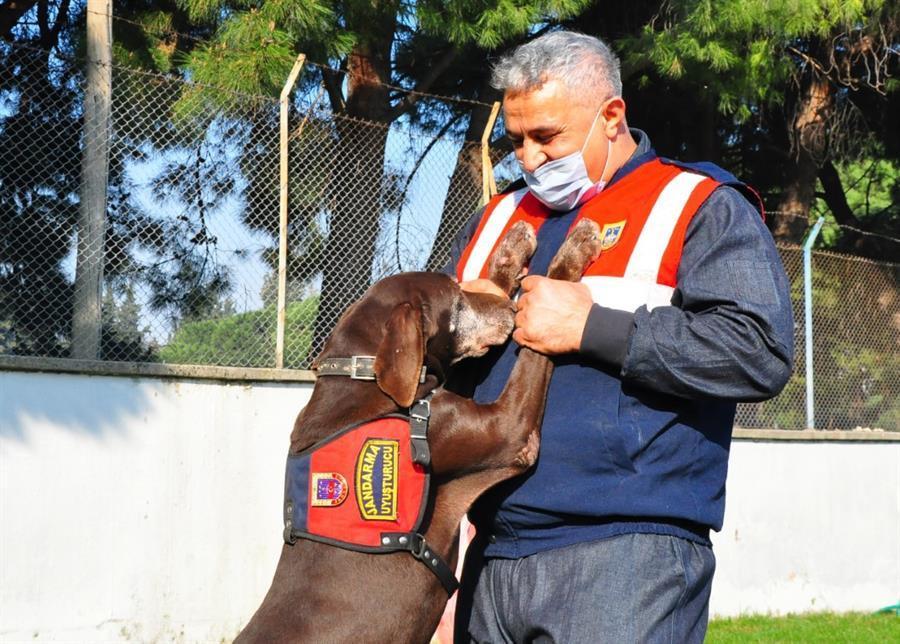 Sniffer dog ‘Volta’ retires after 10 years of service