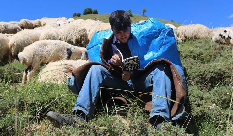 Shepherd studying at Robert Lycee preparing to enter Dutch university