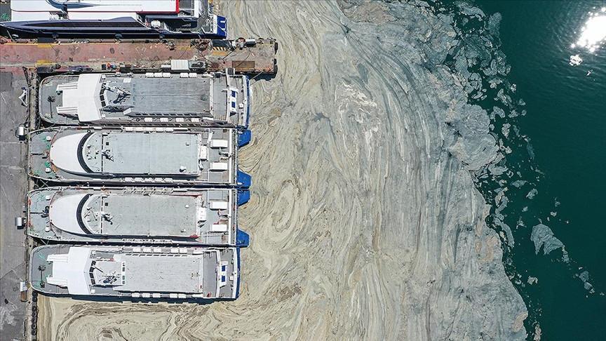 Turkey launches massive cleanup campaign against mucilage