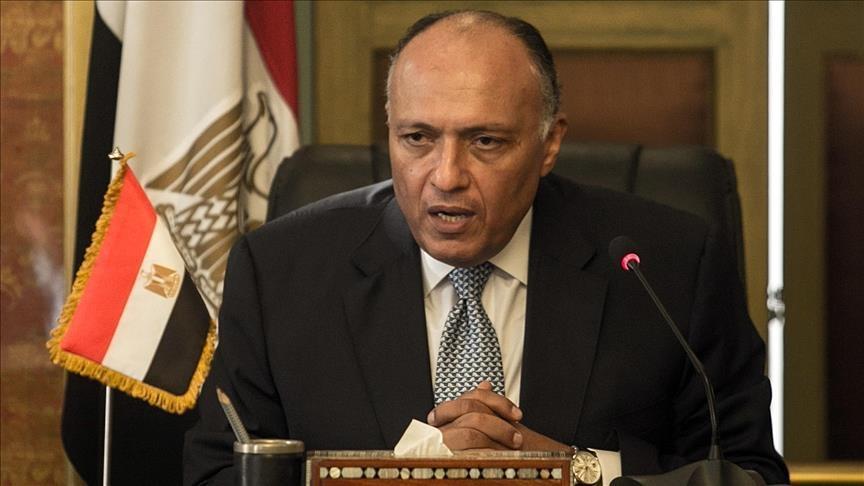 Turkish-Egyptian relations can progress gradually: Egyptian FM