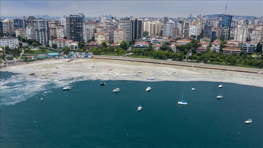 Expert warns of threat mucilage poses to small boats in Dardanelles