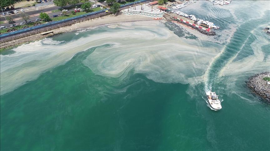 Over 4,555 cubic meters of mucilage collected from Marmara Sea