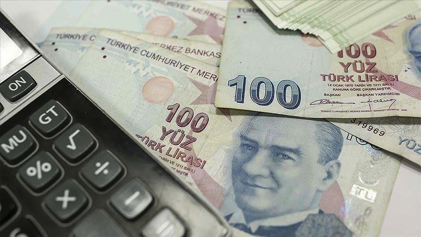 Turkish Treasury borrows nearly $1 bln through auctions