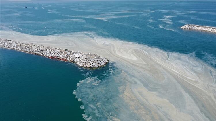 Mucilage not descended to Marmara Sea depths: Report