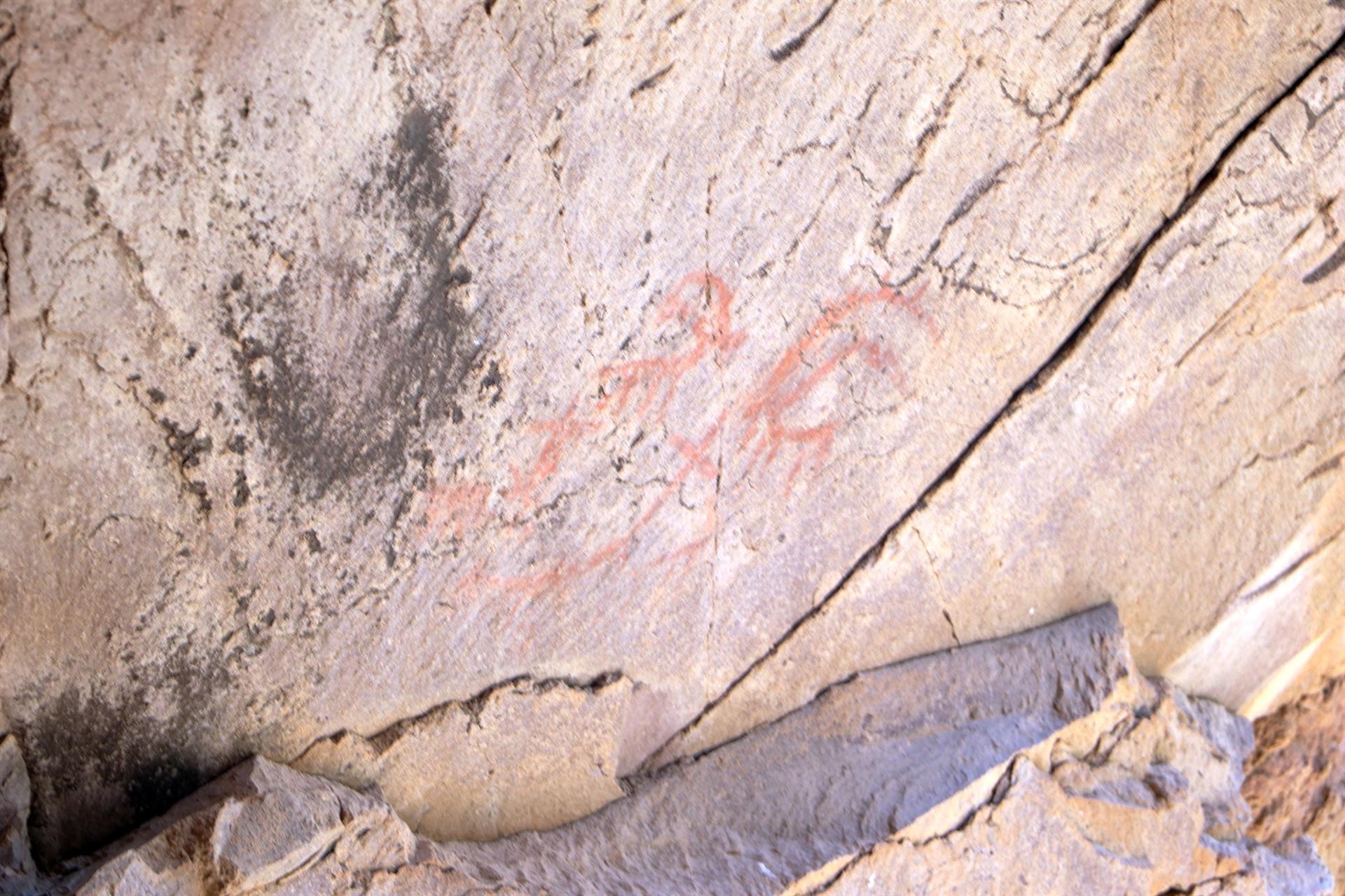 8,000-year-old deer drawings found in caves of Turkey’s east