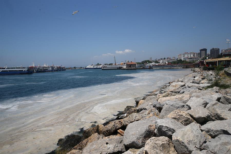 Mucilage cleaning works in the Turkish seas finally paying off