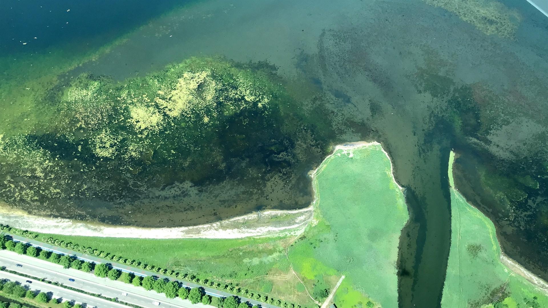 Thousands flock to beaches amid ongoing mucilage cleaning efforts