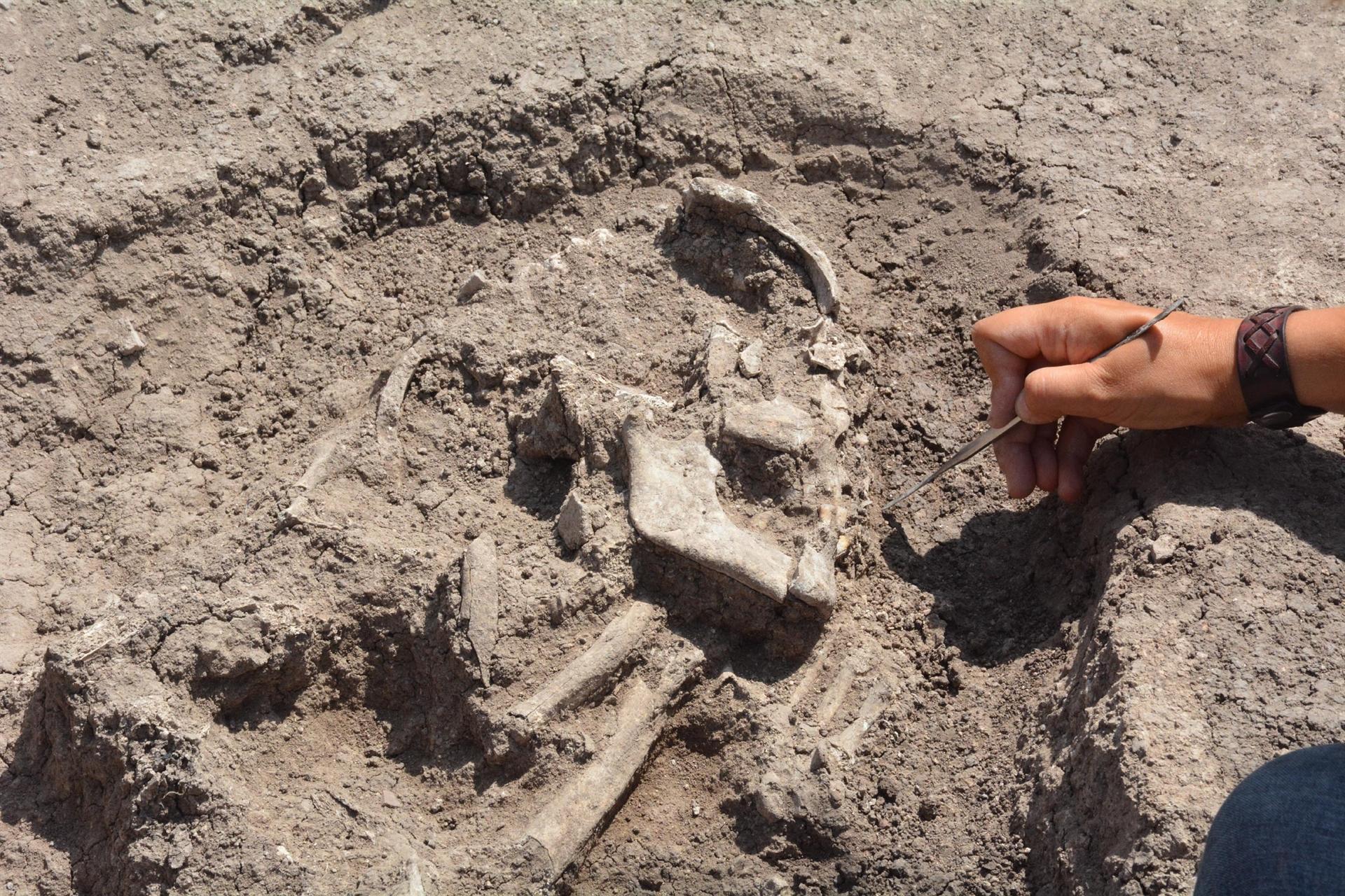 Some 8,500-year-old human skeletons found in apartment yard