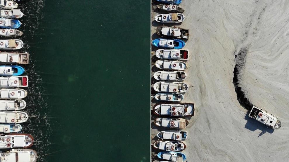 Mucilage density decreases in Marmara Sea thanks to cleanup efforts