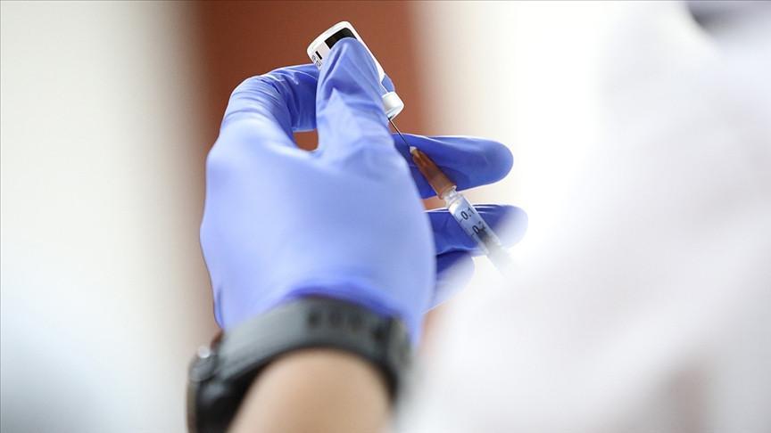 Jabs given in Turkey valid for vaccine certificates, says health minister